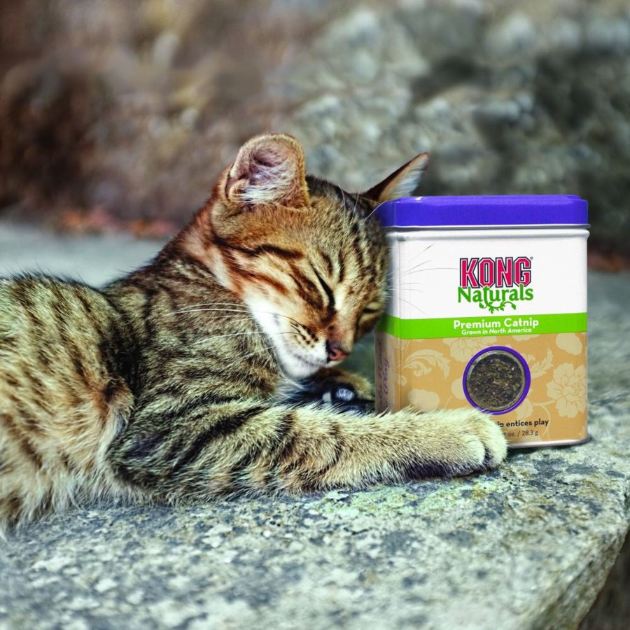 Cat KONG | Kong Naturals Premium Catnip