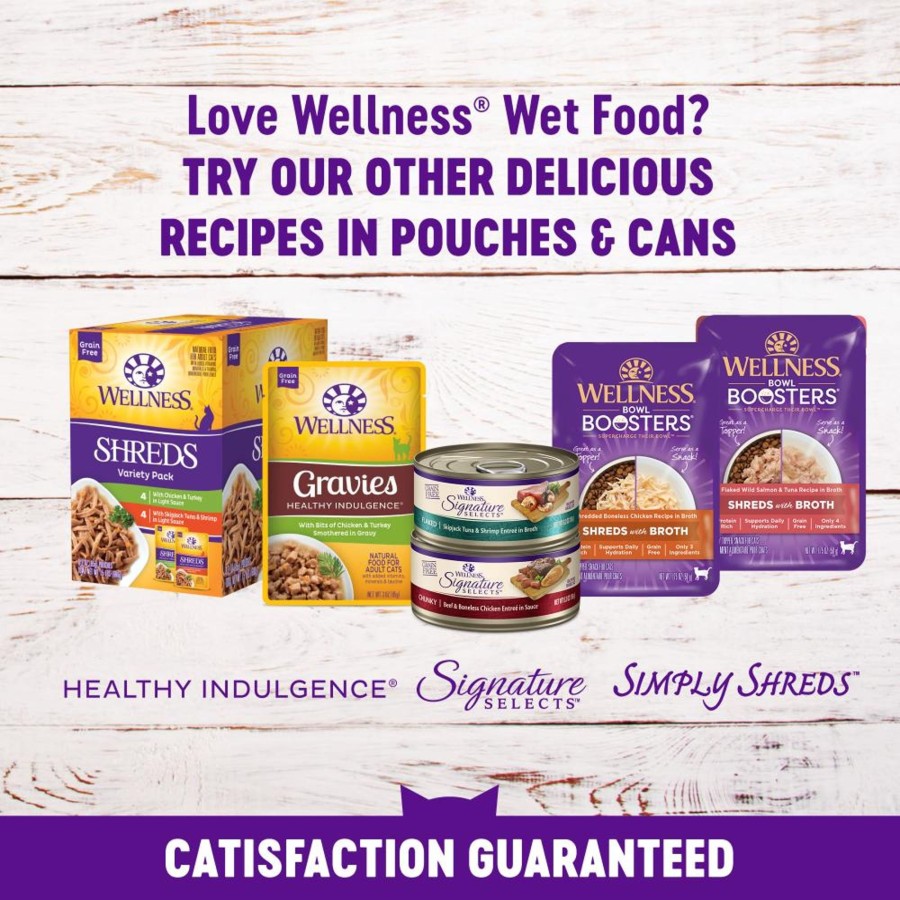 Cat Wellness Wet Food | Wellness Healthy Indulgence Natural Grain Free Morsels With Chicken And Salmon In Savory Sauce Cat Food Pouch