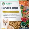 Dog Dr. Marty Freeze Dried | Dr. Marty Nature'S Blend For Active Vitality Seniors Freeze Dried Raw Dog Food