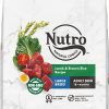 Dog Nutro Dry Food | Nutro Wholesome Essentials Large Breed Adult Pasture-Fed Lamb & Rice Dry Dog Food