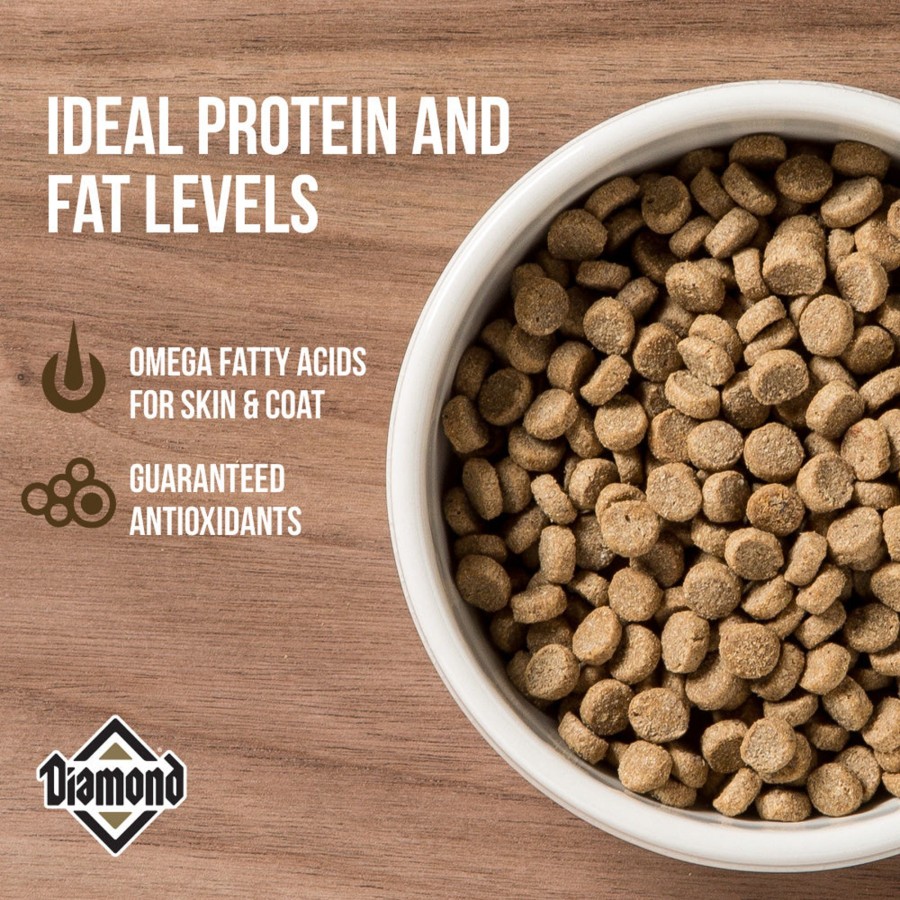 Cat Diamond Dry Food | Diamond Maintenance Dry Cat Food